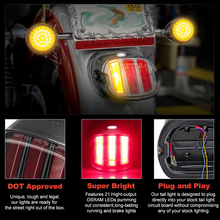 LED Eagle Claw Tail Brake Light With Turn Signal Compatible with Harley Davidson Motorcycle