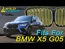 Gloss Black Dual Slats Front Bumper Grille for BMW X5 G05 2019-2023