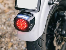 LED Tail Light for Harley Softail Fat Boy Dyna Sportster Smoke Brake Turn